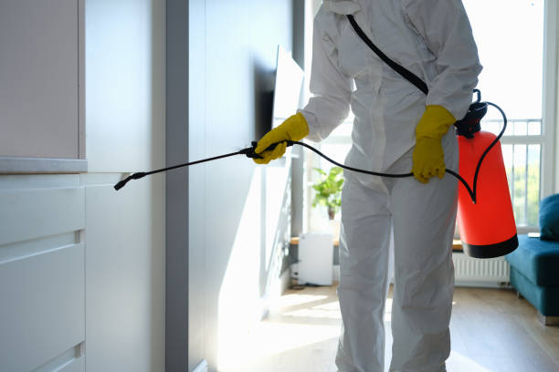 Best Professional Mold Removal  in Greenville, MI