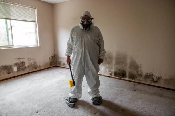 Best Mold Testing  in Greenville, MI